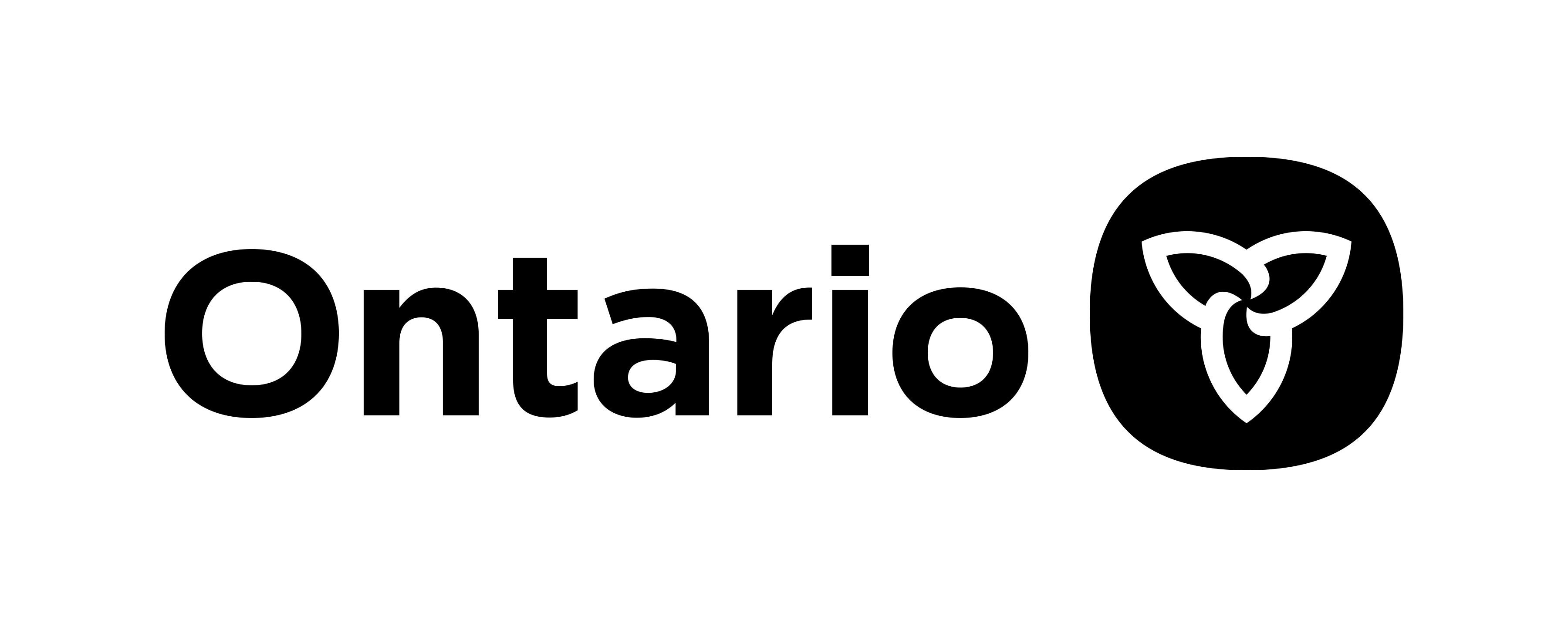 Government of Ontario - Ministry of the Solicitor General approval