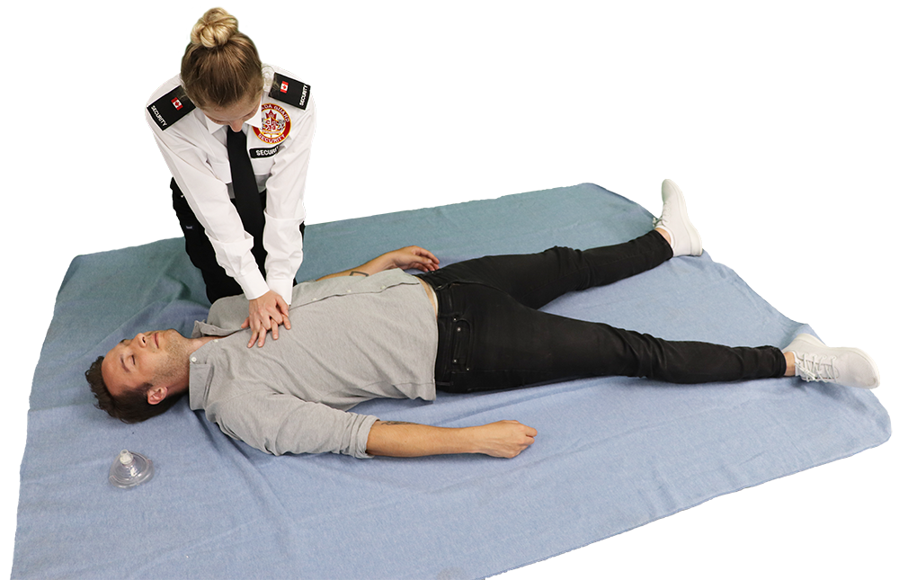 First aid training gallery image